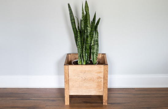 Easy Wood DIY Projects: 7 Steps to Build a Small Wooden Planter Box for Home Decor