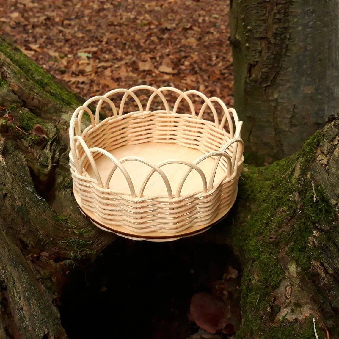 DIY Basketry Kit for Beginners - Round Basket - Rattan Round basket - Artisanal Homes